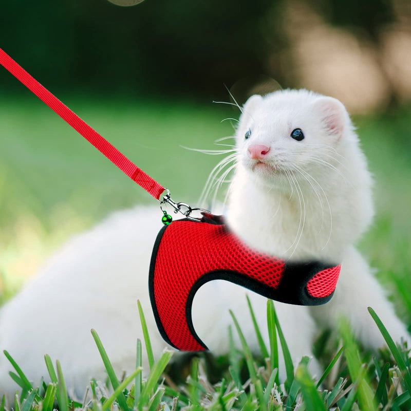 Rypet Small Animal Harness and Leash - Soft Mesh Pet Harness with Safe Bell, No Pull Comfort Padded Vest for Small Pet Red M - Image 5